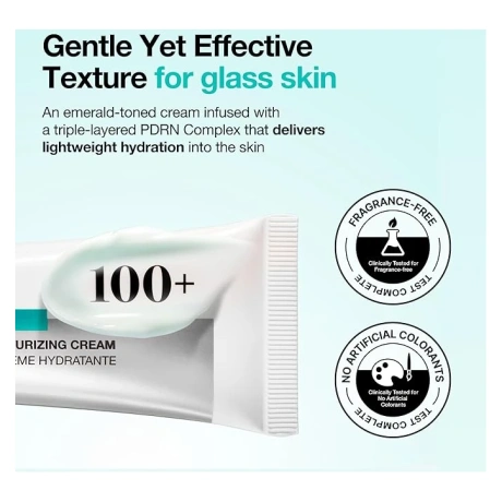 ANUA PDRN Hyaluronic Acid 100 Moisture Cream