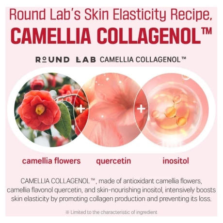 Round Lab Camellia Deep Collagen Firming Sun Serum