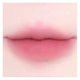 DEARMAY 2in1 Plumpy Lip Liner P05.Nasty Mauve