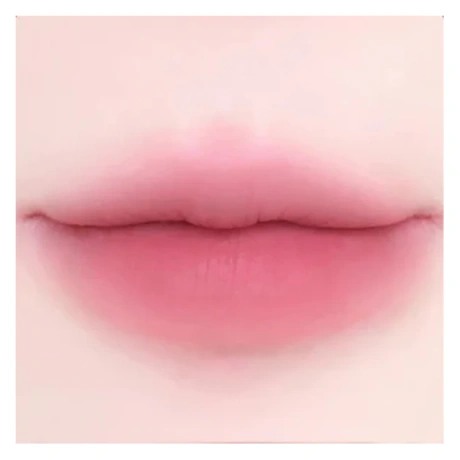 DEARMAY 2in1 Plumpy Lip Liner P05.Nasty Mauve