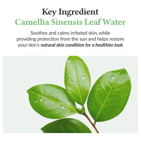Dr.Althea Green Tea Fresh Sunscreen