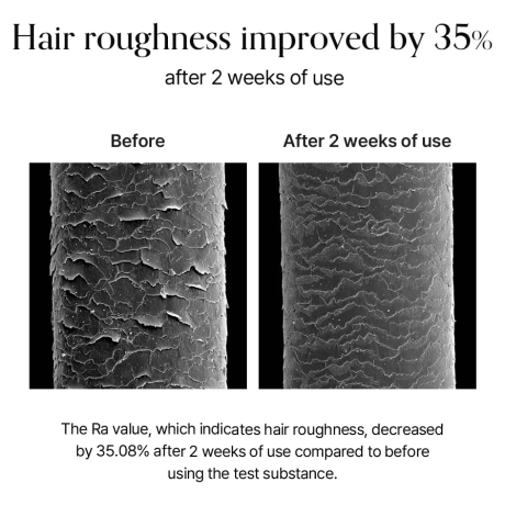 GROWUS Damage Therapy Hair Treatment EX