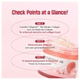 Round Lab Camellia Deep Collagen Firming Cream