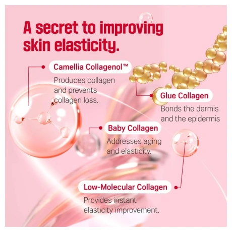 Round Lab Camellia Deep Collagen Firming Cream