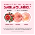 Round Lab Camellia Deep Collagen Firming Cream