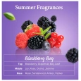 KUNDAL Honey & Macadamia Nature Shampoo Blackberry Bay