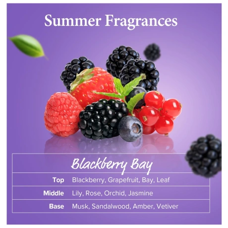 KUNDAL Honey & Macadamia Nature Shampoo Blackberry Bay