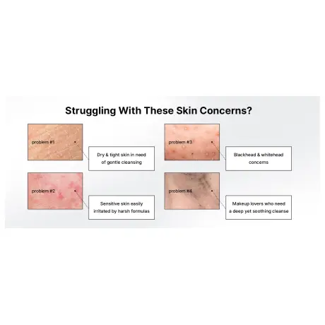 celimax Dual Barrier Purifying Cleansing Balm