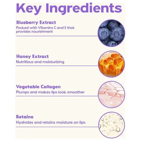 Frudia Blueberry Hydrating Honey Lip Balm