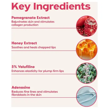 Frudia Pomegranate Honey 3in1 Lip Balm