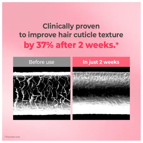 KUNDAL Holiday Silk Glow Edition - Protein Bonding Care Shampoo Treatment Hair Scrunchie