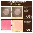 Dr. Reju-All Advanced PDRN Rejuvenating Cream