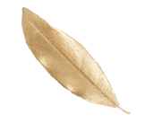 Feather