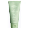 Abib Acne Foam Cleanser Heartleaf Foam