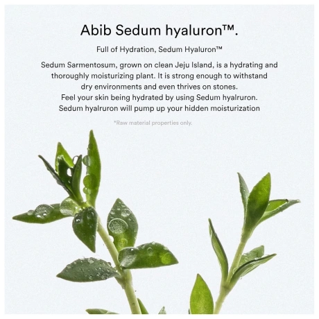 009 Abib Sedum Hyaluron Toner Pad Hydrating Touch 3