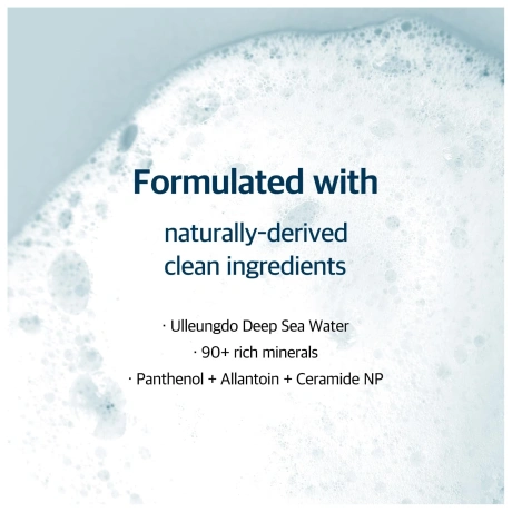 Round Lab 1025 Dokdo Cleanser