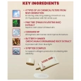 KSECRET Seoul 1988 Sun Pine Tree Ceramide