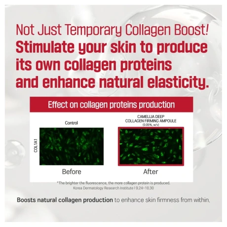 Round Lab Camellia Deep Collagen Firming Ampoule
