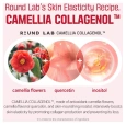 Round Lab Camellia Deep Collagen Firming Ampoule