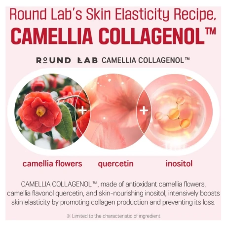 Round Lab Camellia Deep Collagen Firming Ampoule