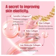 Round Lab Camellia Deep Collagen Firming Ampoule
