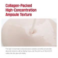 Round Lab Camellia Deep Collagen Firming Ampoule