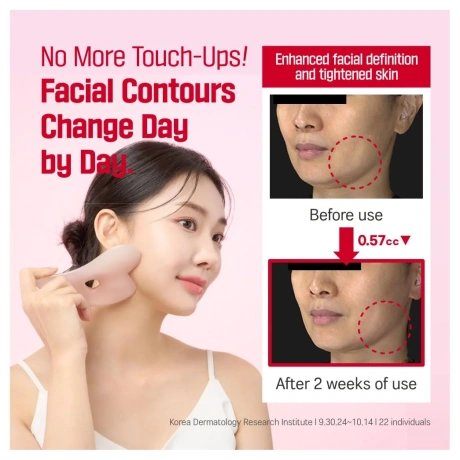Round Lab Camellia Deep Collagen Firming Cream
