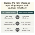 Treecell [Travel Size] Night Collagen Shampoo Midnight Forest