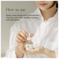 Beauty of Joseon Glow Serum  Propolis Niacinamide