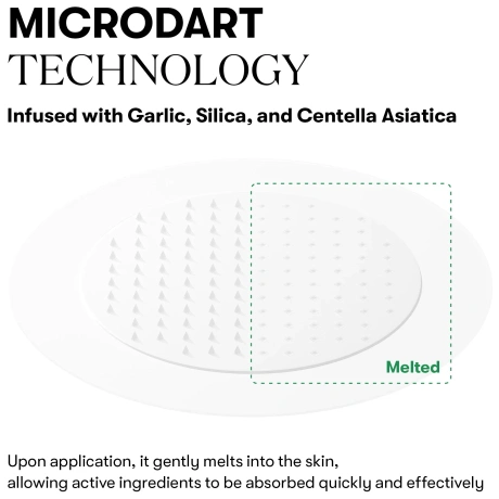 VT COSMETICS Garlic AC Reedle Shot Point Patch