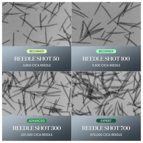 VT COSMETICS Reedle Shot 300