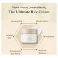 IM From Rice Cream