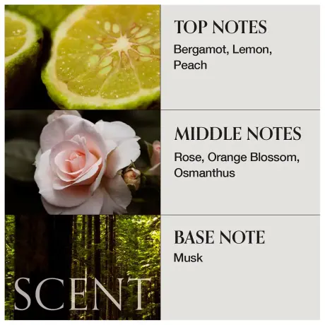 MONCLOS Velvet Nourishing Treatment
