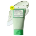 FULLY Green Tomato Clay Pack Cleanser 01